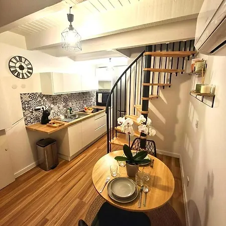 Apartment Duplex En Hyper Centre, Calme, Acces Autonome Vienne (Isere)