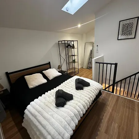 Duplex En Hyper Centre, Calme, Acces Autonome Vienne (Isere)