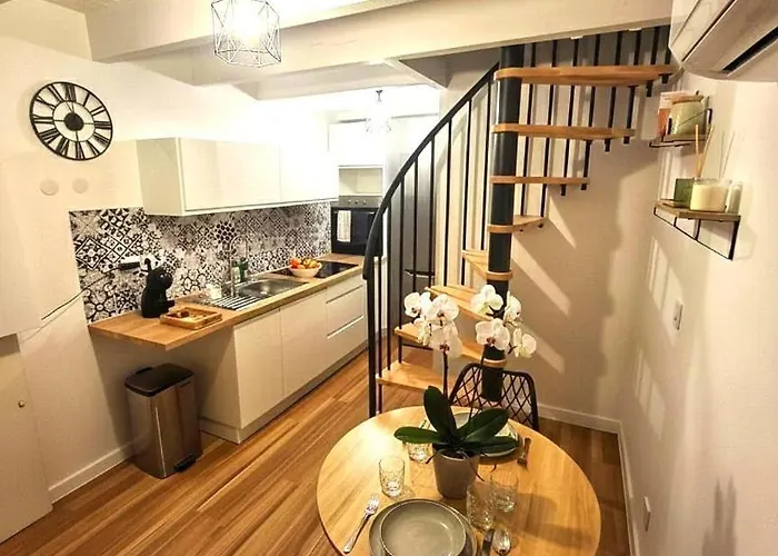 Apartment Duplex En Hyper Centre, Calme, Acces Autonome Vienne (Isere)