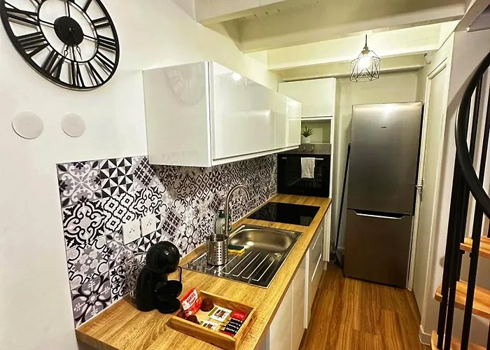 Duplex En Hyper Centre, Calme, Acces Autonome Vienne (Isere)